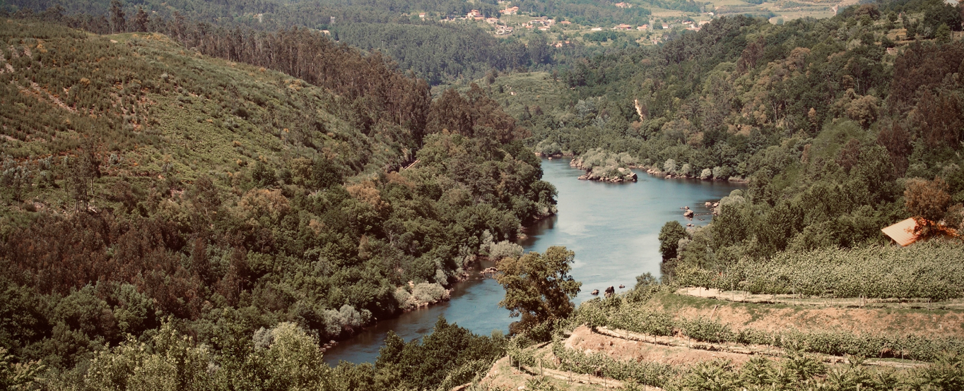 Terroir de Melgaço